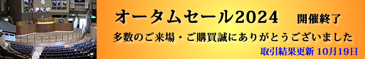 販売馬最新情報